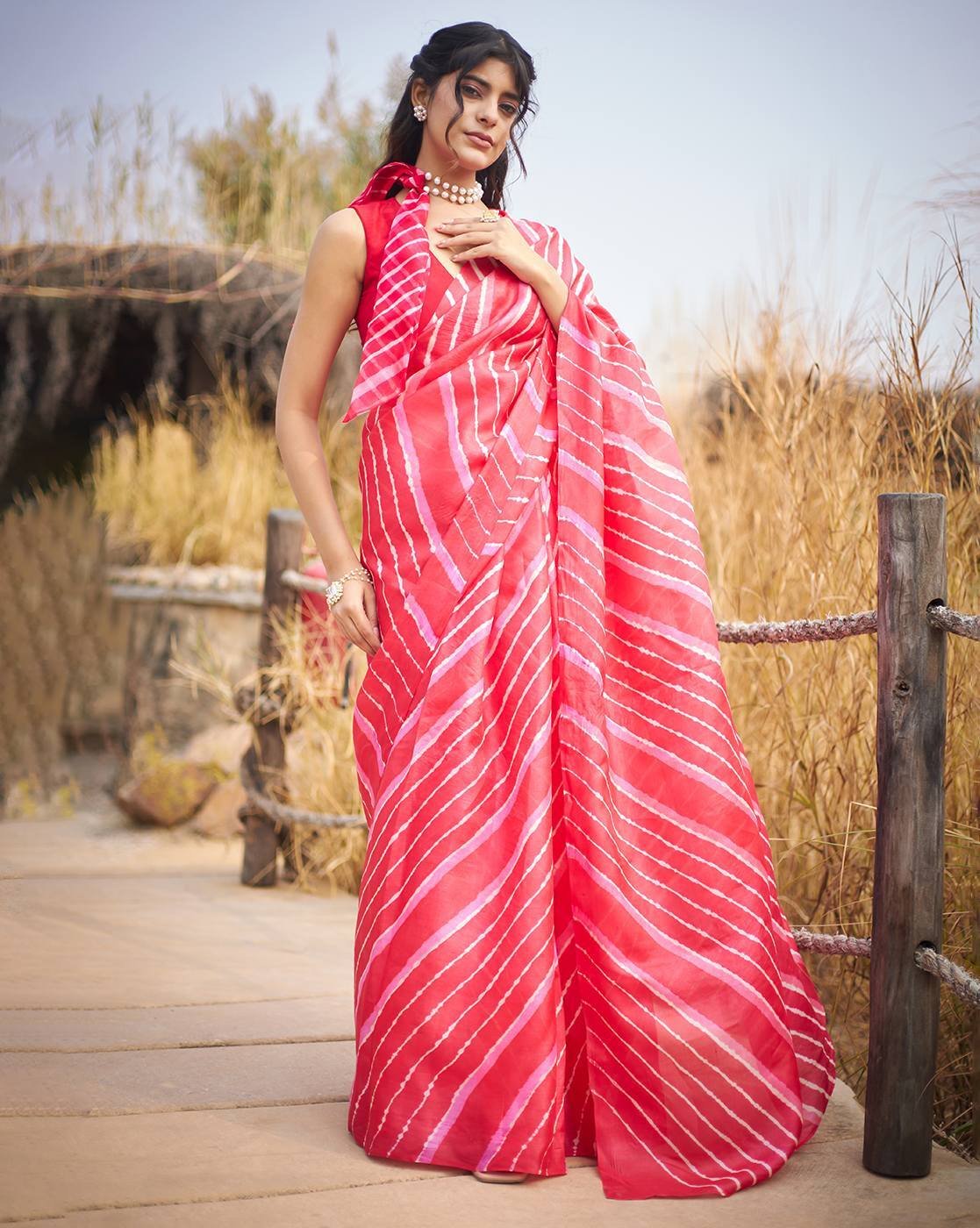 Elegant saree