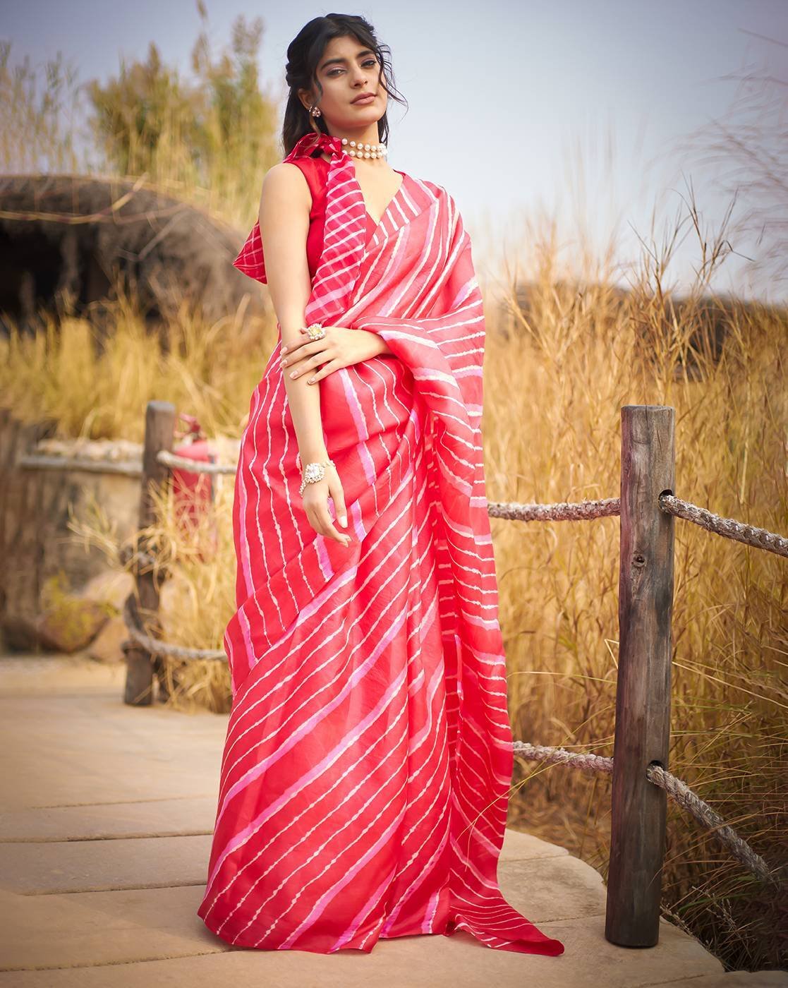 Elegant saree