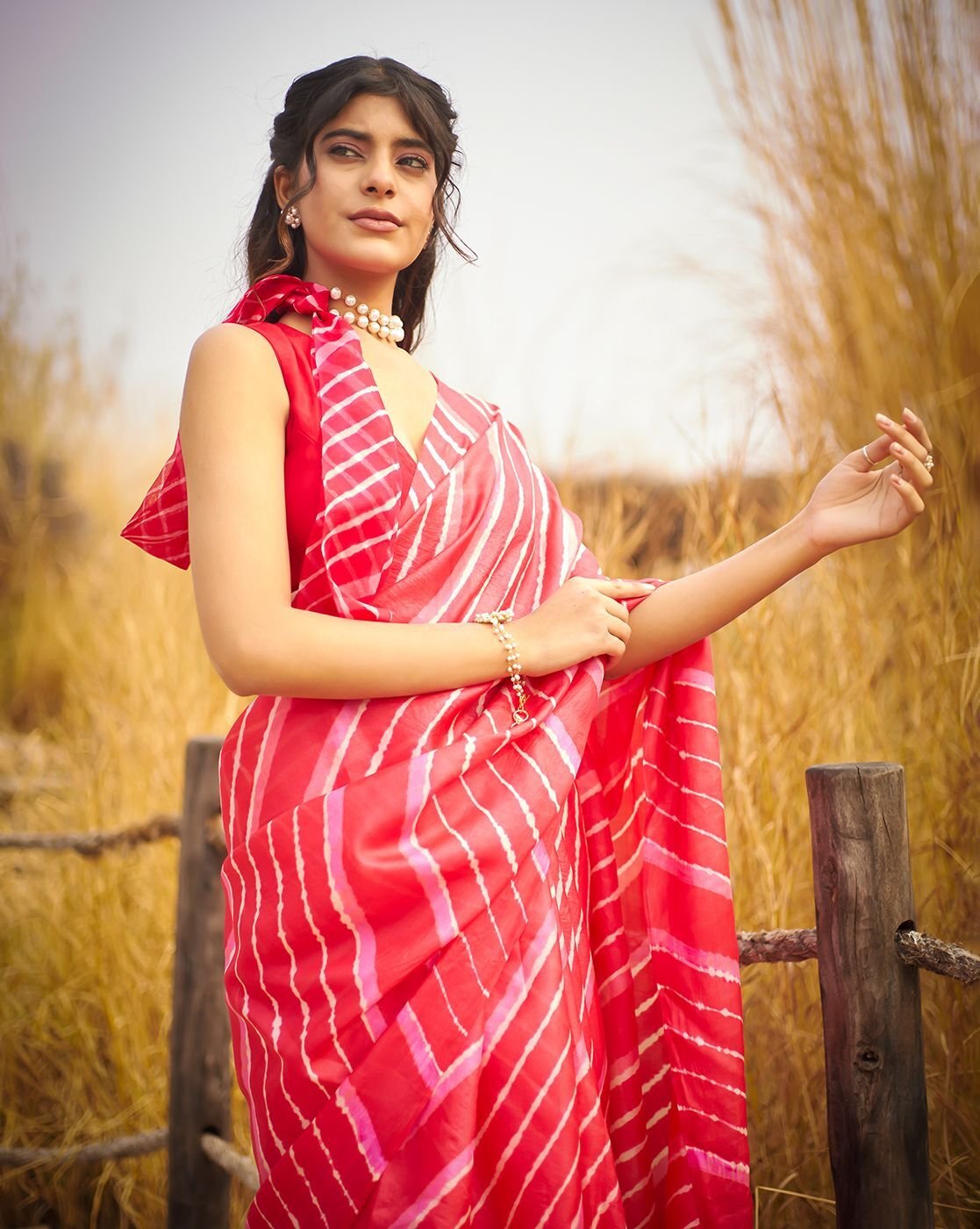 Traditional saree
